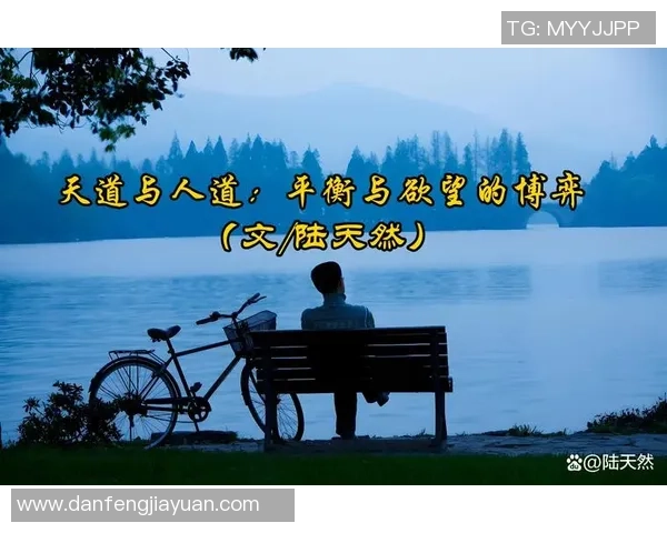 顾全大局与个人理想的平衡之道探讨与思考